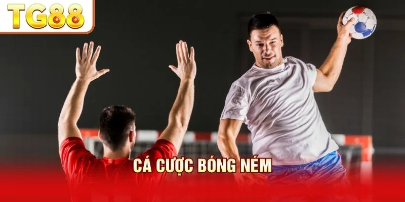 Cá Cược Bóng Ném